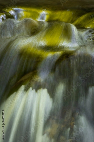 Obraz JayOBrien/JaynesGallery/DantaDelimont.com