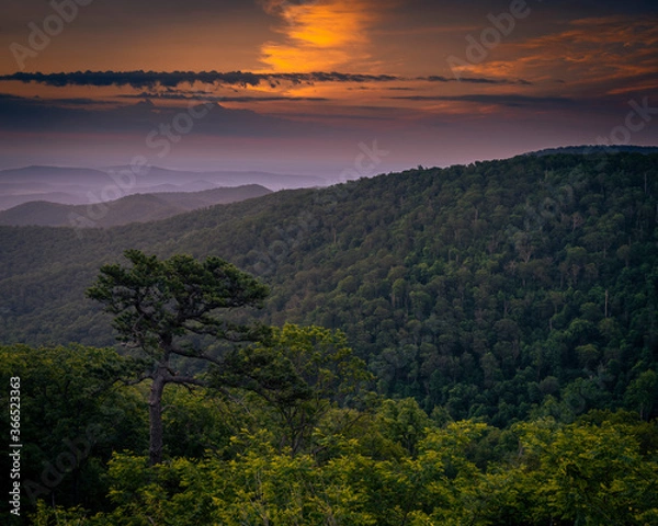 Obraz JayOBrien/JaynesGallery/DantaDelimont.com