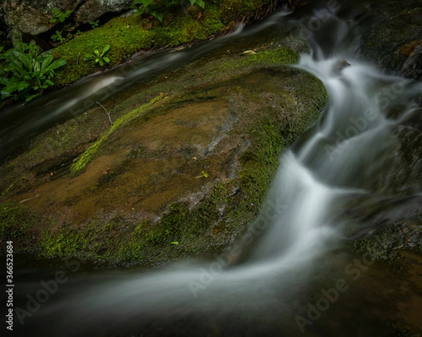 Obraz JayOBrien/JaynesGallery/DantaDelimont.com