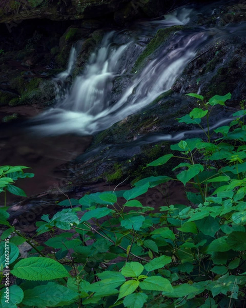 Obraz JayOBrien/JaynesGallery/DantaDelimont.com