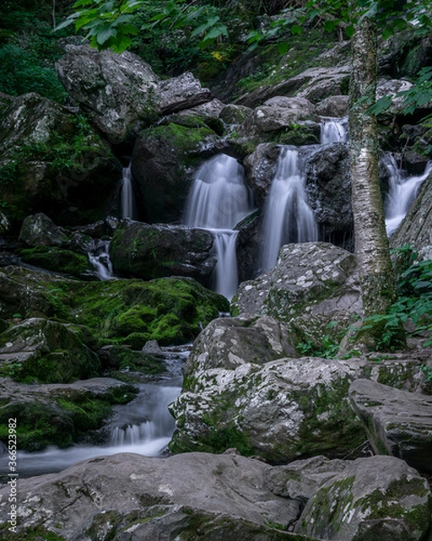 Obraz JayOBrien/JaynesGallery/DantaDelimont.com