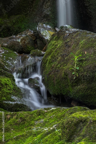 Obraz JayOBrien/JaynesGallery/DantaDelimont.com