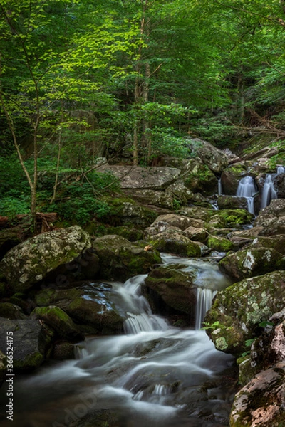 Obraz JayOBrien/JaynesGallery/DantaDelimont.com