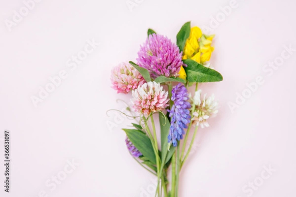 Fototapeta Flat lay of miniature wildflowers on pink paper background, copyspace for summer and wedding design. Boutonniere from clover and mouse pease