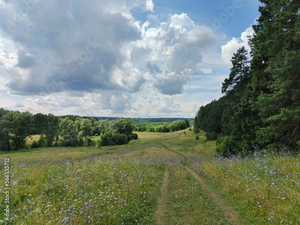 Fototapeta cloudy sky over forest and field on a sunny day