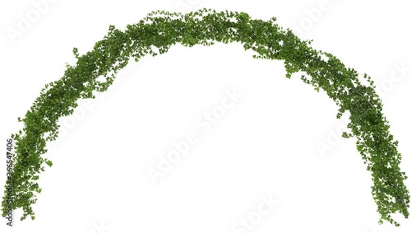 Obraz Kręcone bluszcz łuk na białym tle renderowania 3d