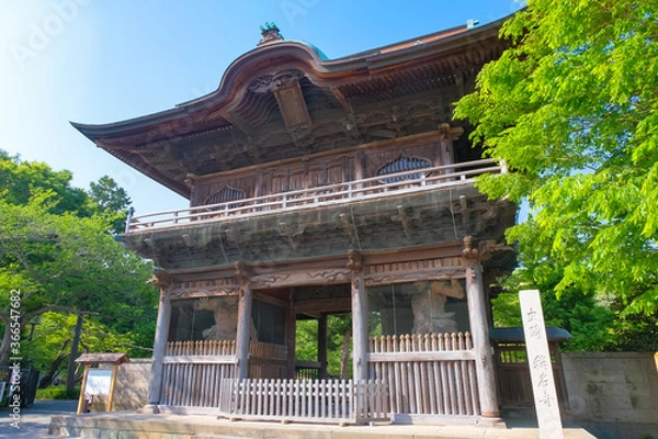 Fototapeta 横浜市 称名寺 仁王門