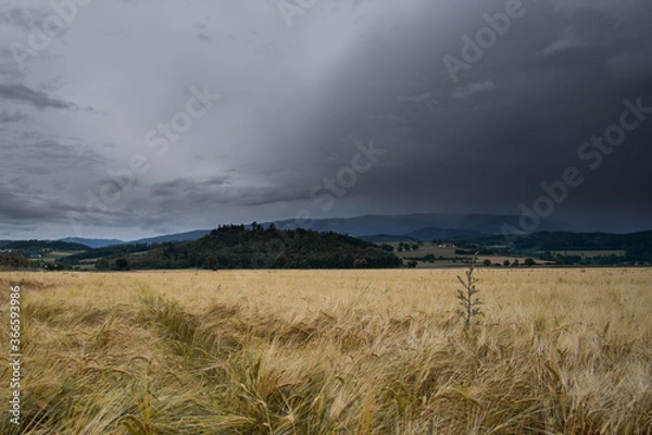 Fototapeta stormy clouds over the field