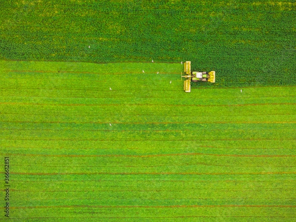 Fototapeta Tractor mowing green field, aerial view