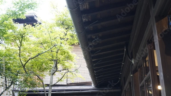 Fototapeta 屋根裏