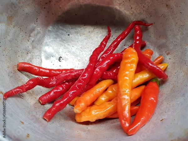 Obraz Long Fresh Red and Orange Chilly