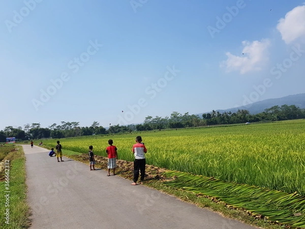 Obraz Indonesian Children Playing Kites
