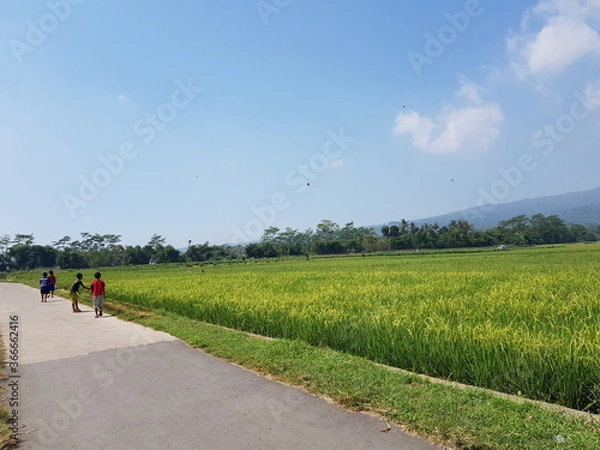 Obraz Indonesian Children Playing Kites