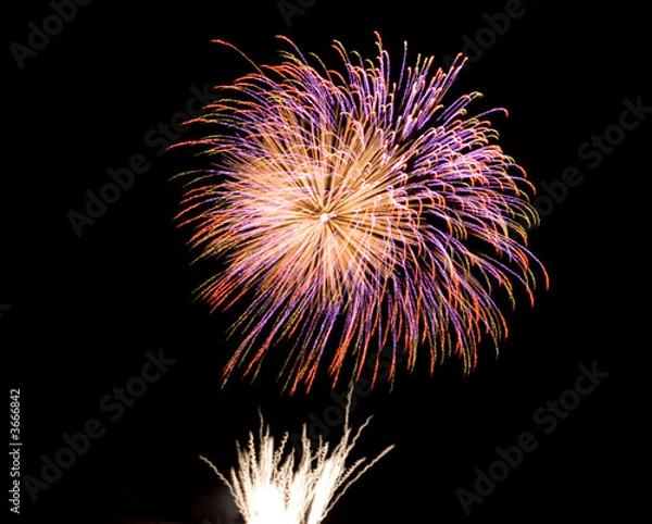Obraz Fireworks Display (Red-Purple)