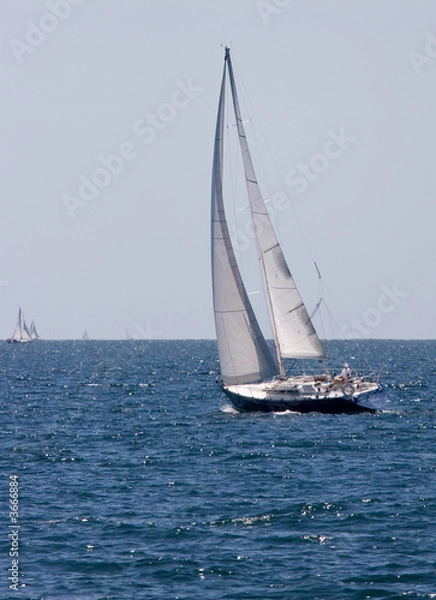 Obraz Sailboat Cruising