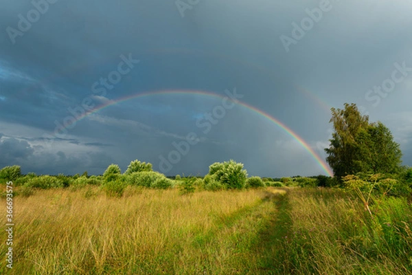 Fototapeta Sunny field just after the rain with the double rainbow in the dark blue sky. Horizontal image.