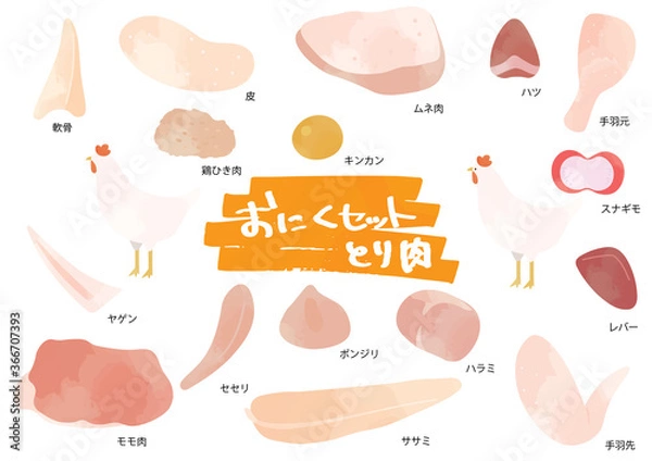 Obraz 鶏肉のイラストセット
