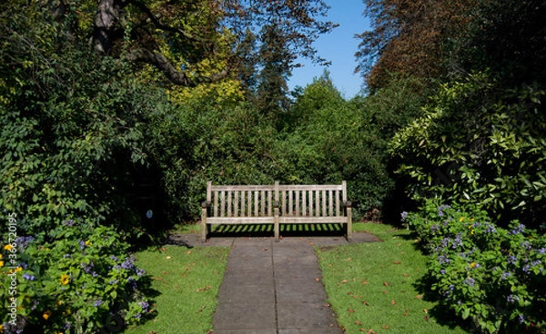 Obraz bench in the park