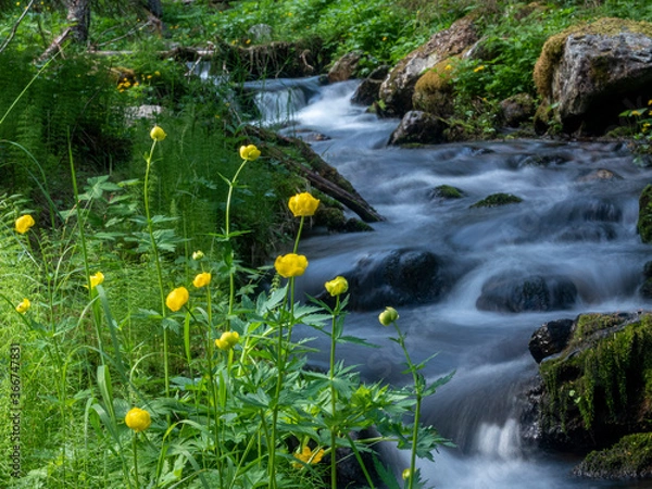 Fototapeta A long exposure view to a gorge grove beck.