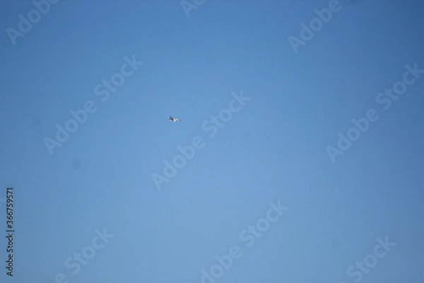 Fototapeta Fighter Jet Mig 29