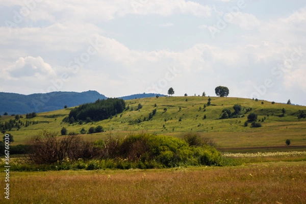 Obraz landscape with mountains and trees