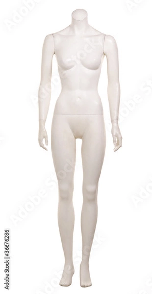Obraz mannequin