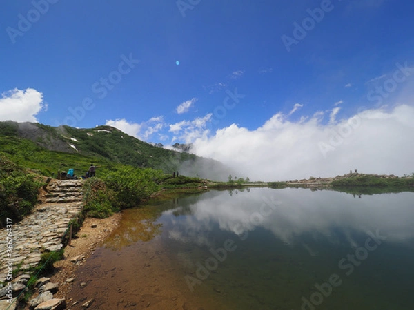 Fototapeta OLYMPUS DIGITAL CAMERA