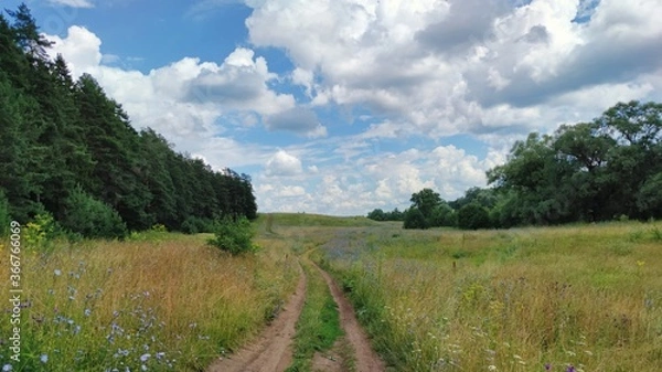 Fototapeta panoramic scene with a road in a field near the forest against a blue sky