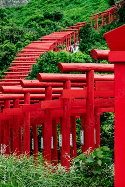 Fototapeta 並んだ赤い鳥居と海と緑の風景が美しい