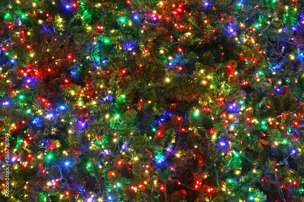Fototapeta Christmas Tree Lights