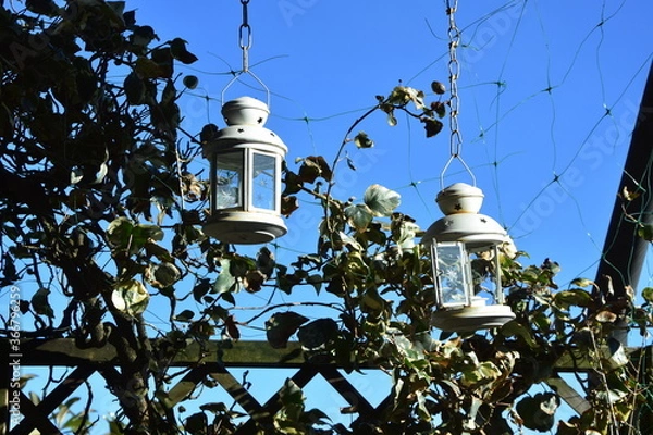 Obraz Relax in the Garden