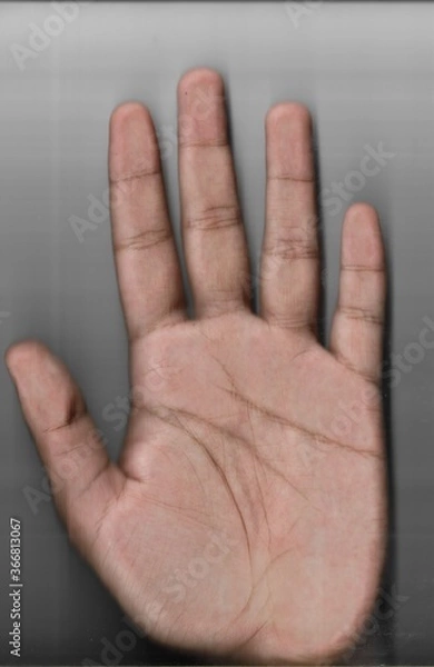 Obraz hand on a white background
