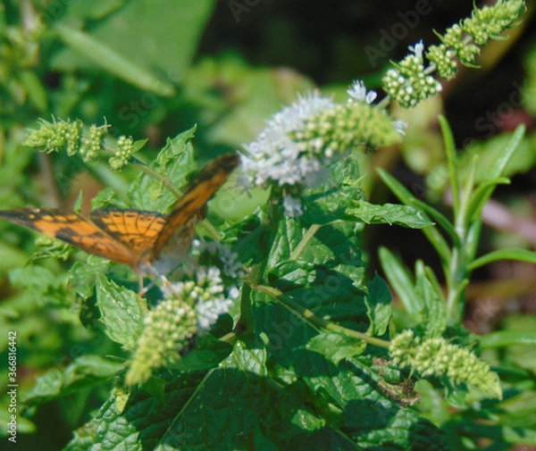 Fototapeta Work, Work, Work