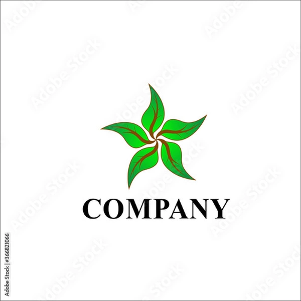 Obraz green leaf star logo