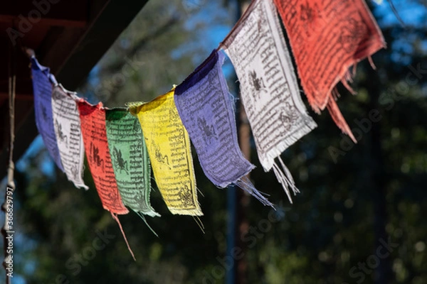 Obraz Tibetan prayer flags in closeup with a dark forested background 