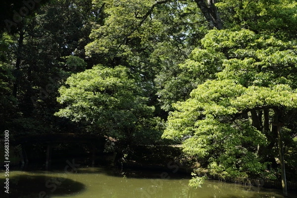 Obraz 京　桂　20150511