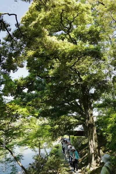 Obraz 京　桂　20150511