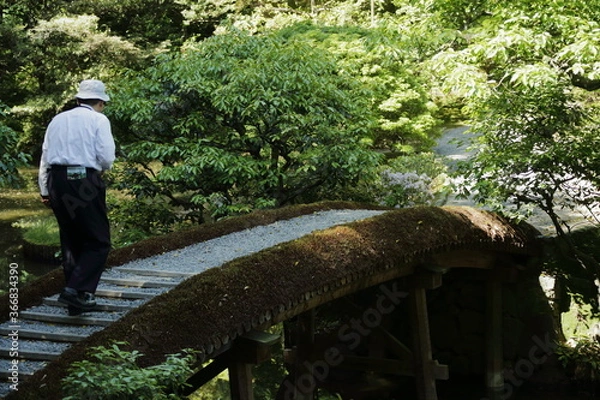 Obraz 京　桂　20150511