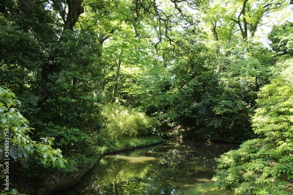 Obraz 京　桂　20150511