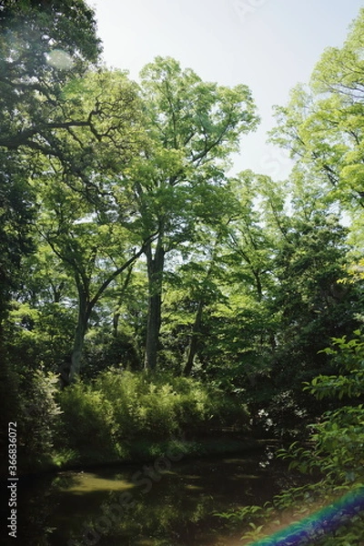 Obraz 京　桂　20150511