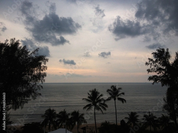 Obraz Palm trees at the Beach