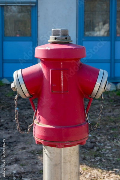 Obraz Hydrant