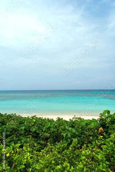 Fototapeta 沖縄県　波照間島のニシ浜