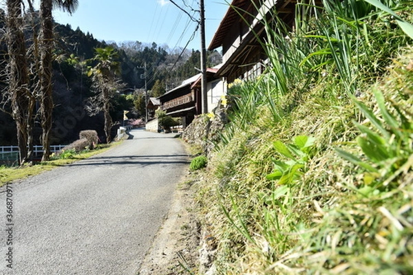 Obraz 日本の田舎の風景