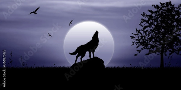 Fototapeta The wolf howls on the rock at night in the moonlight, birds fly in the sky