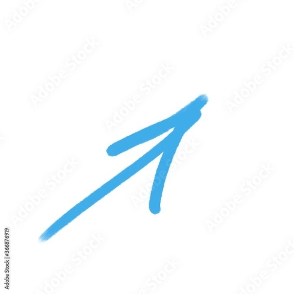 Obraz blue pointer isolated on white background 