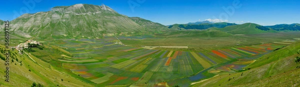 Fototapeta Castelluccio di Norcia e la fioritura dei suoi campi