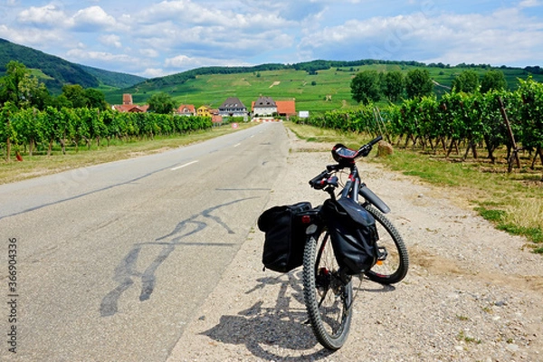 Obraz Vélotourisme à travers de Vignes, Alsace, France