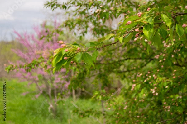 Obraz Somewhere over