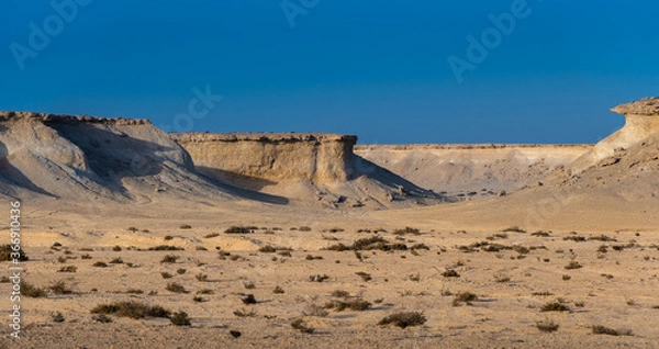 Fototapeta The landscape of the desert in the middle east, formerly being the bottom of the ocean now an arid area with natural resources below or a beautiful place to go on a desert safari 